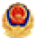 police_badge